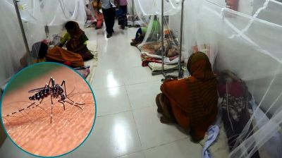 Dengue daily death toll hits highest at 11