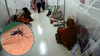Dengue daily death toll hits highest at 11
