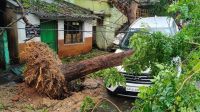 Three killed as Cyclone Arnab hits eastern India