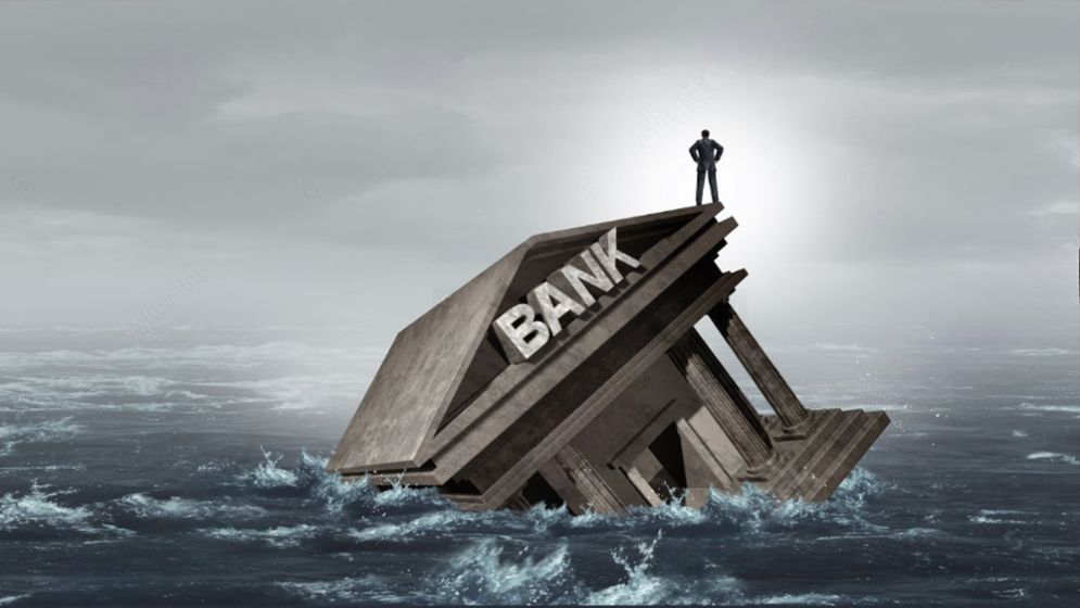 Anatomy of a collapse: Banking crisis and the road to reform