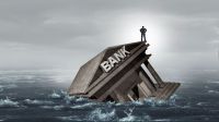 Anatomy of a collapse: Banking crisis and the road to reform