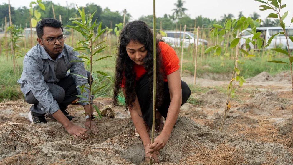 Aarong plants 100,000 trees across Bangladesh