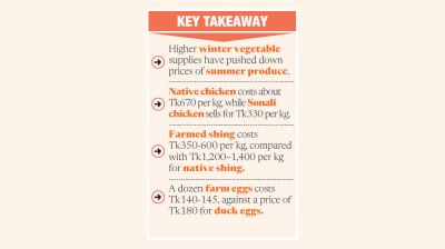 Lower veg prices bring relief, but chicken still costly