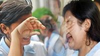 No students pass HSC exams at 293 institutions